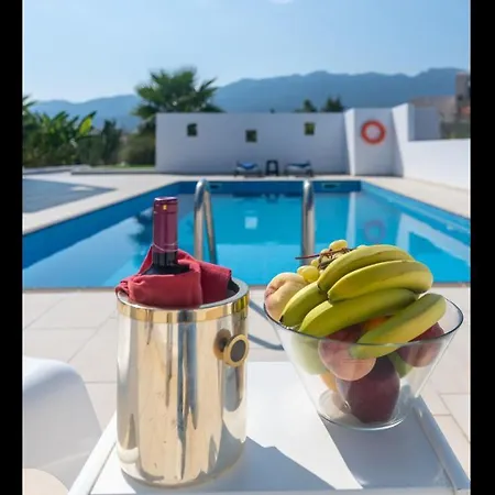 Xenos 6 With A Private Pool Near The Sea